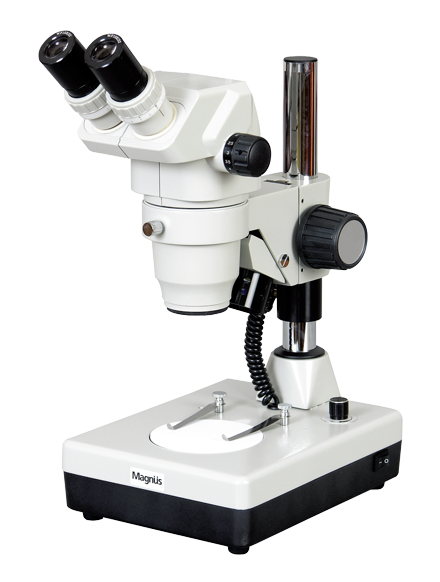 stereo zoom microscope with camera