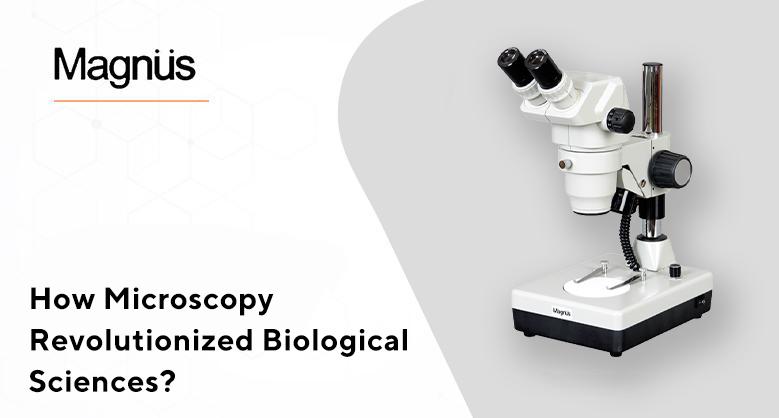 How Microscopy Revolutionized Biological Sciences?