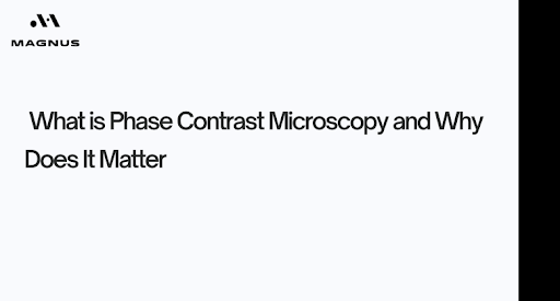 What is Phase Contrast Microscopy and Why Does It Matter?